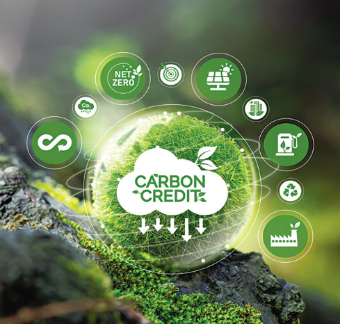 Carbon Credit Consulting services