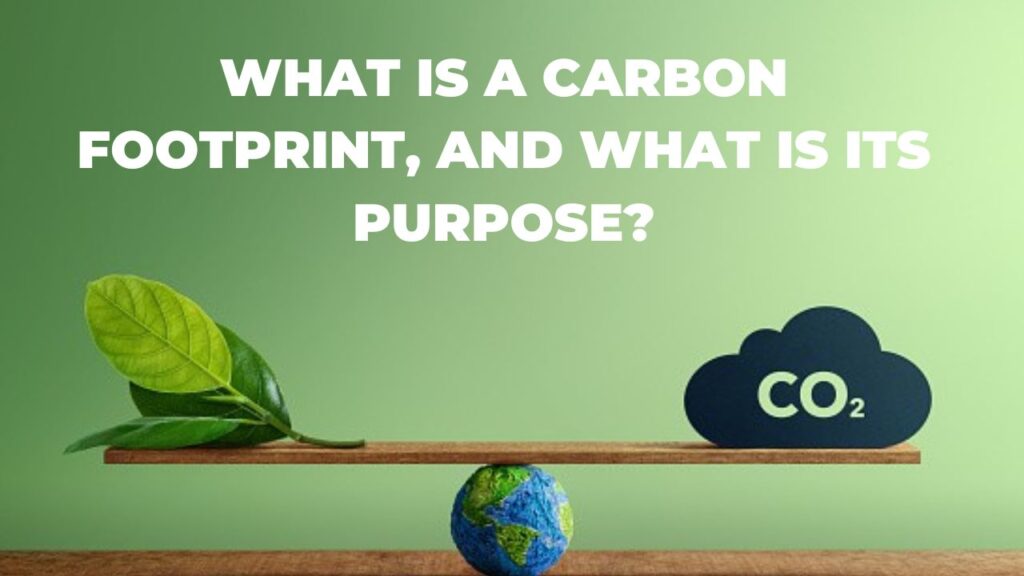 What Is a Carbon Footprint, and What Is Its Purpose