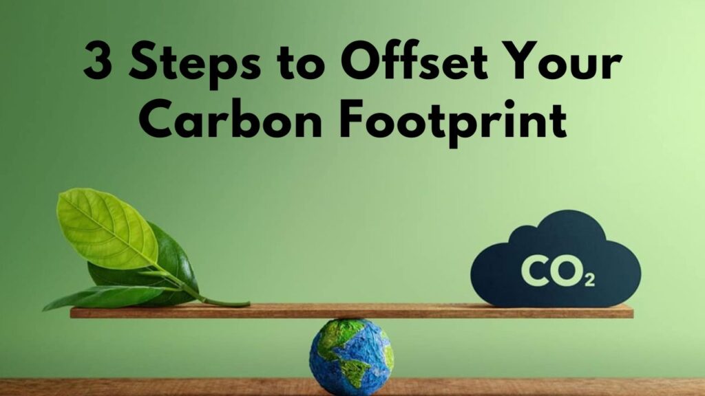 3 Steps to Offset Your Carbon Footprint