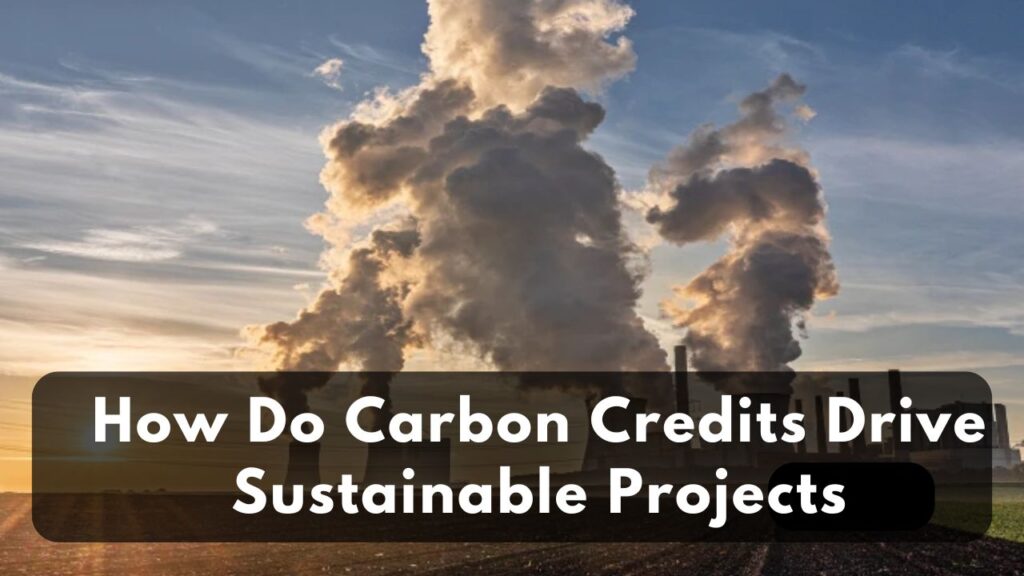 How Do Carbon Credits Drive Sustainable Projects