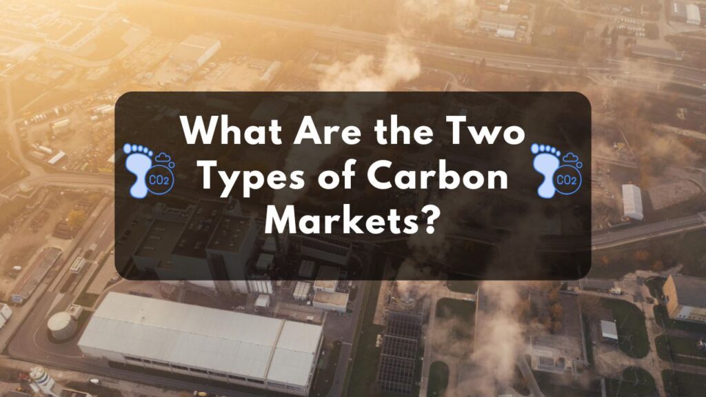 What Are the Two Types of Carbon Markets
