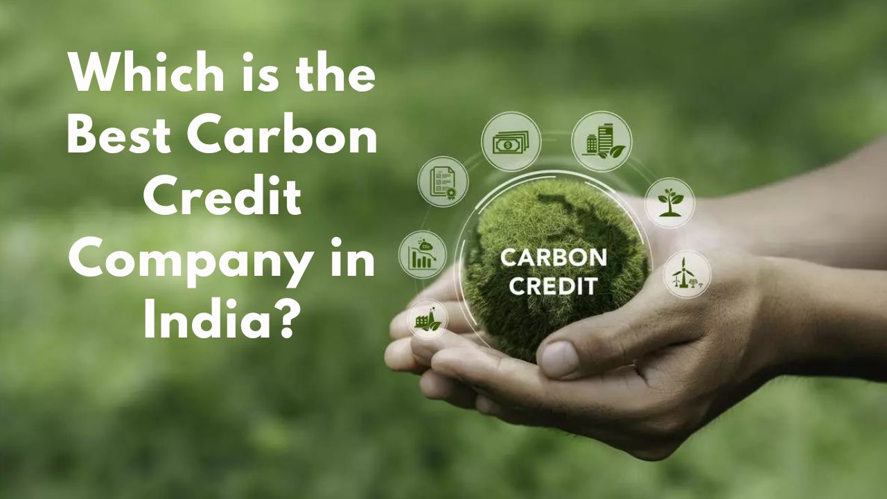 Which is the Best Carbon Credit Company in India