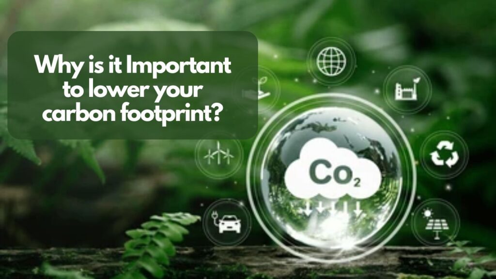 Why is it Important to lower your carbon footprint